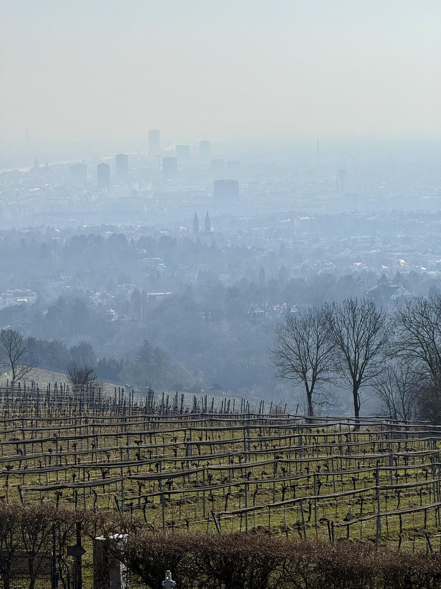 Grinzing - Leopodsberg